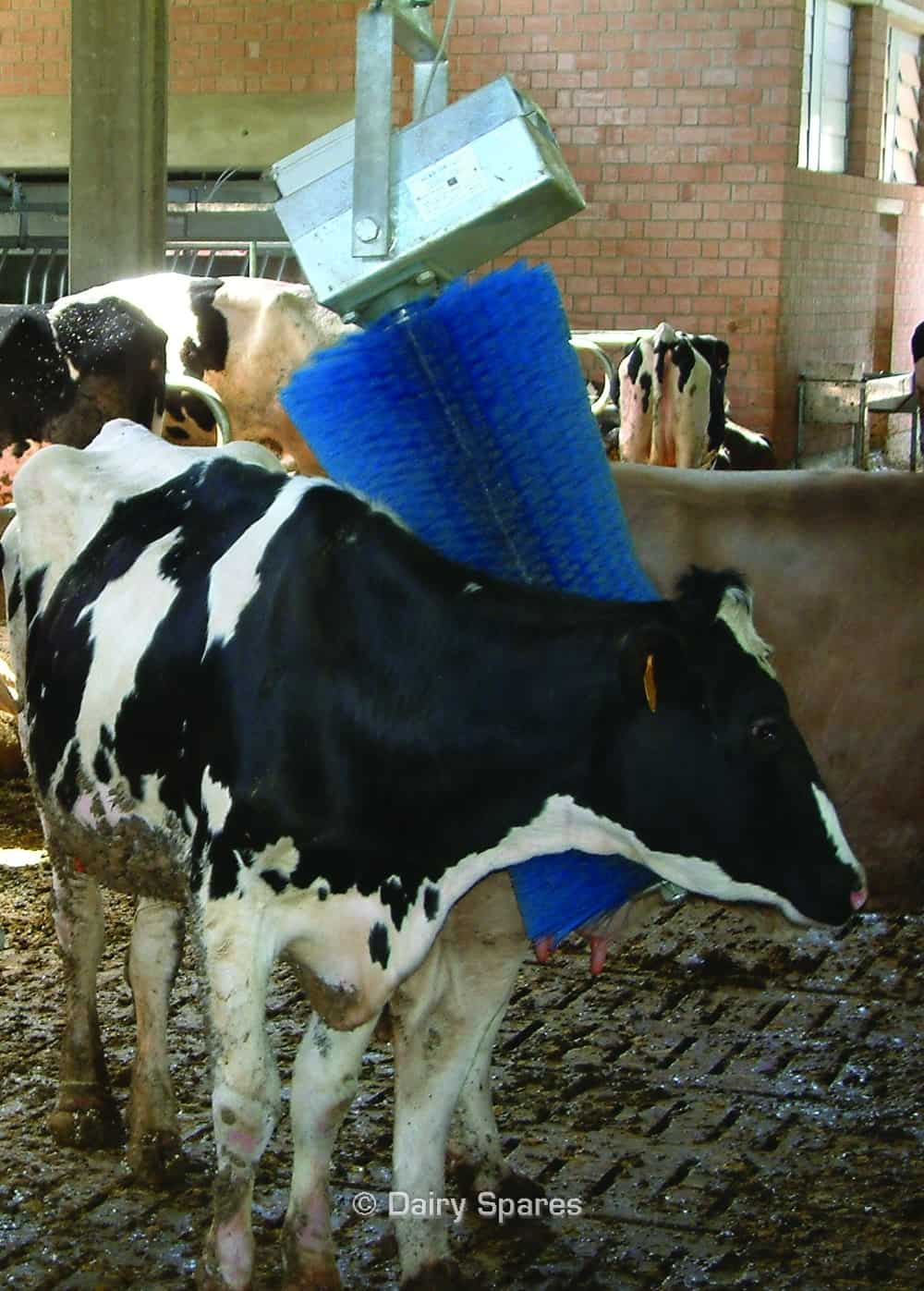 CowKing Rotating Cattle Brush Pendulum Mounted Farm & Dairy Spares