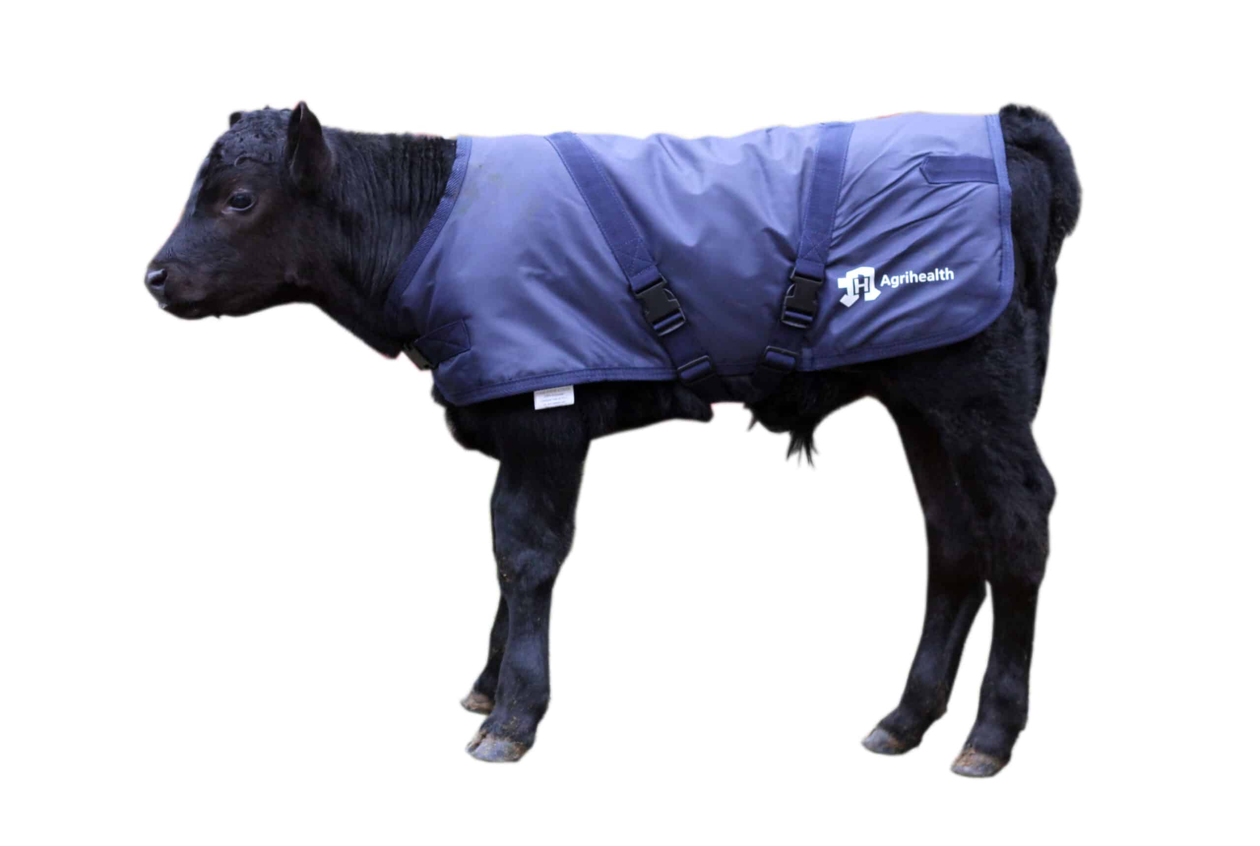 Calf Jackets Ireland