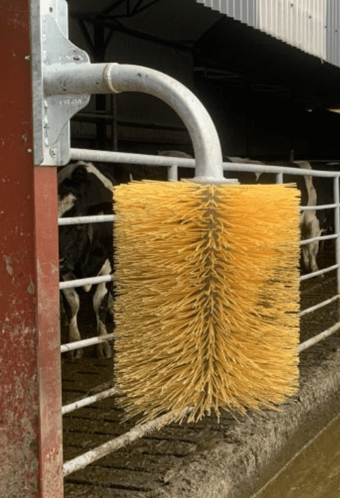 Cow scratching Brush