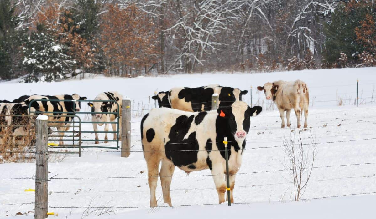 Farm Safety