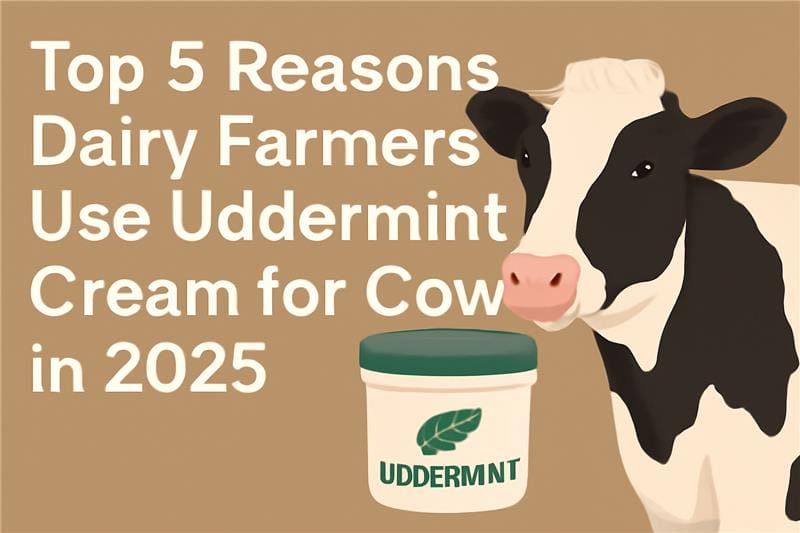 Top 5 Reasons Dairy Farmers Use Uddermint Cream for Cows in 2025